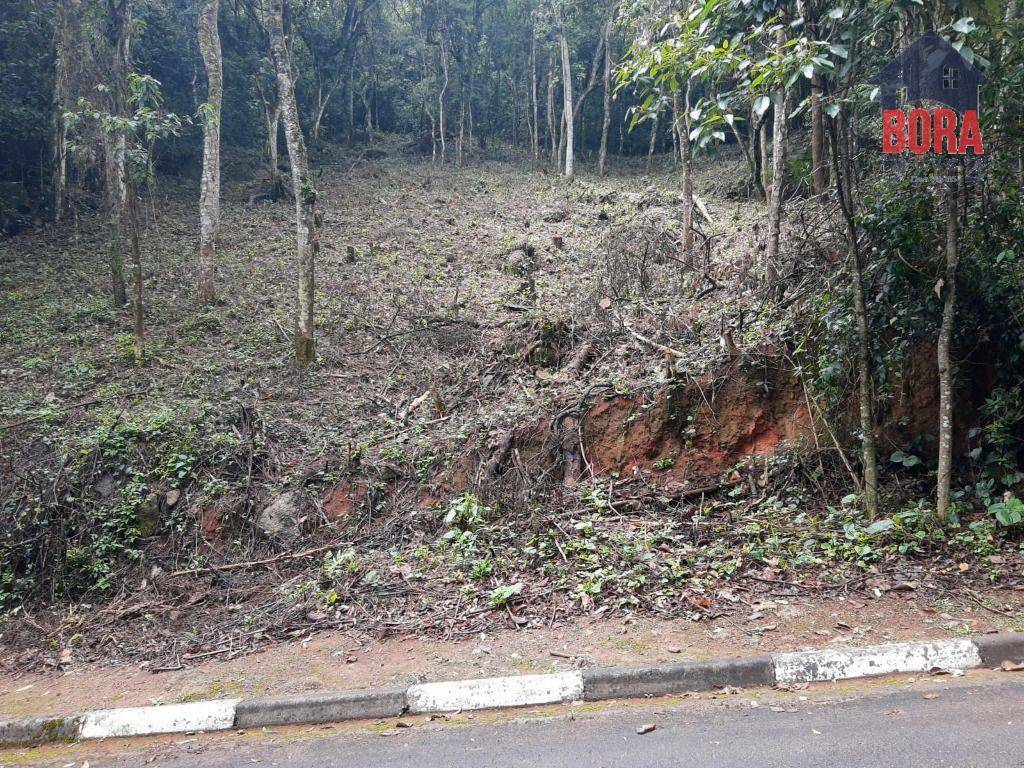 Loteamento e Condomínio à venda, 1250M2 - Foto 3