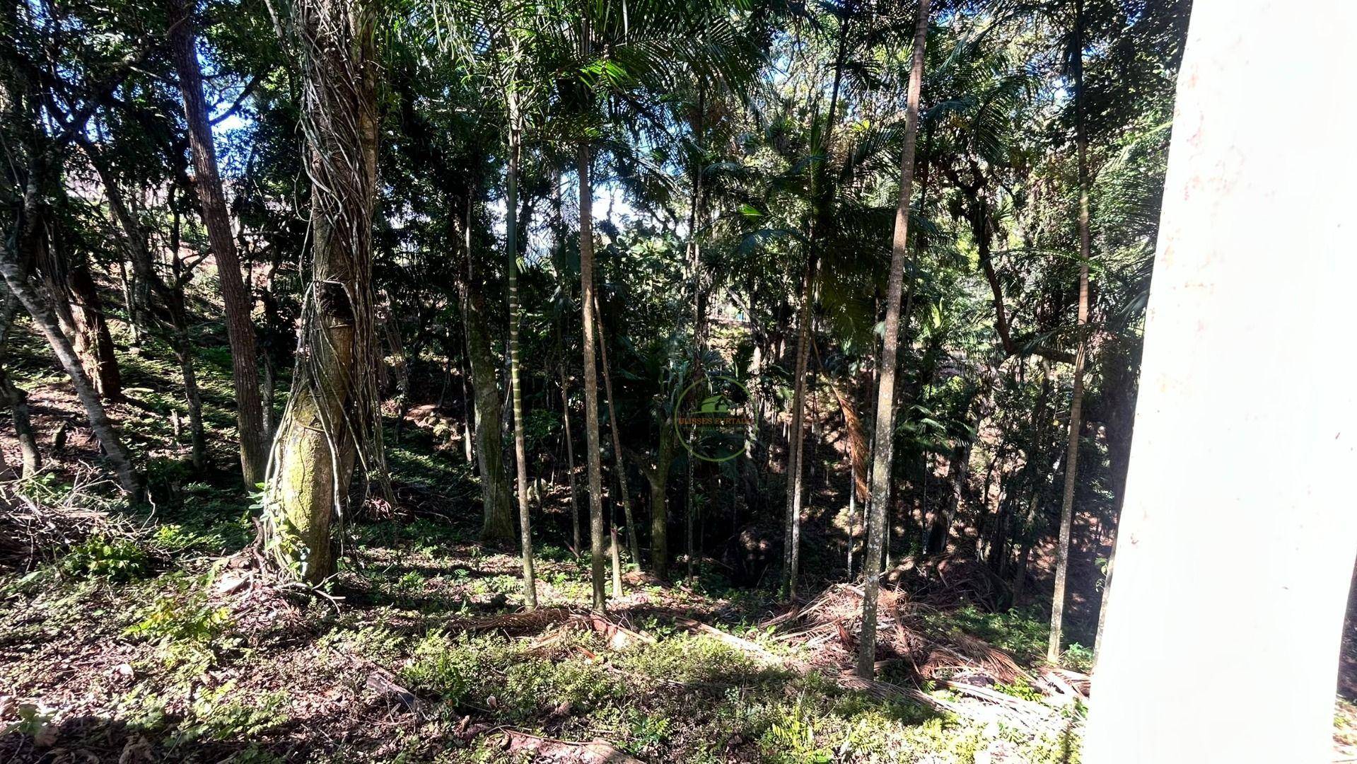 Chácara, 2 quartos, 6000 m² - Foto 2