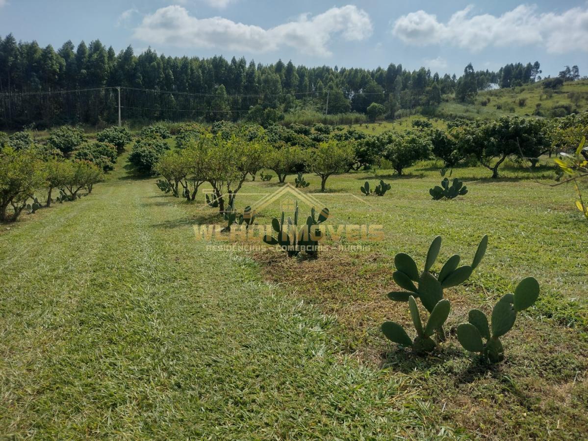 Fazenda à venda, 5m² - Foto 41