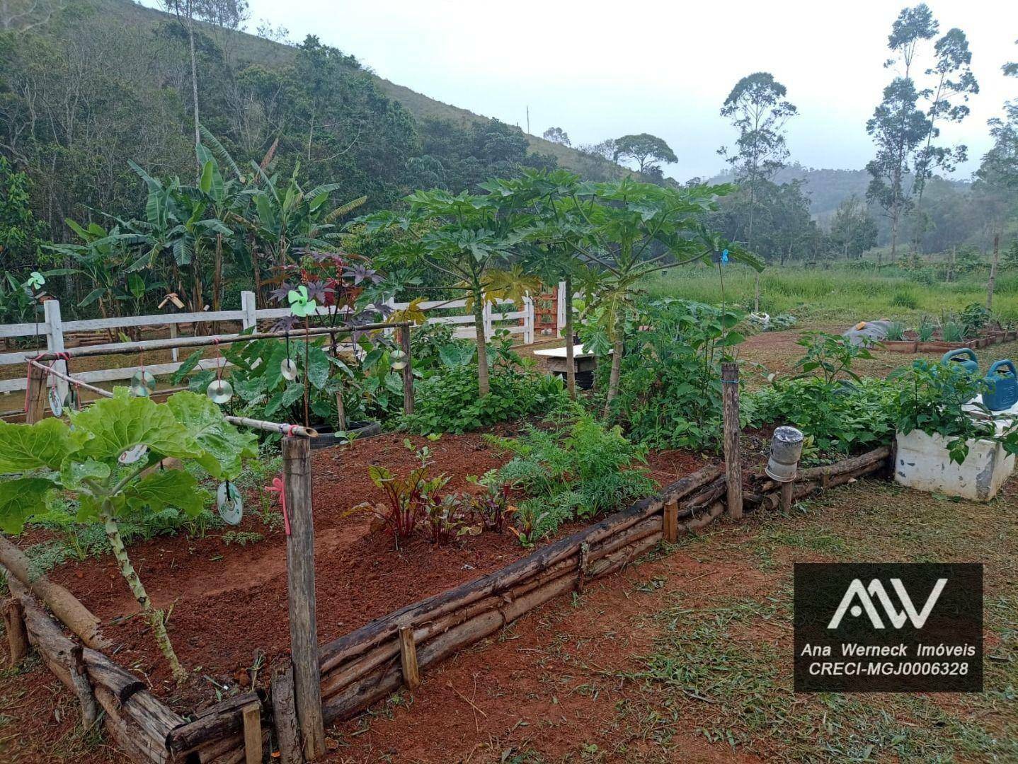 Chácara à venda com 3 quartos, 1100M2 - Foto 22