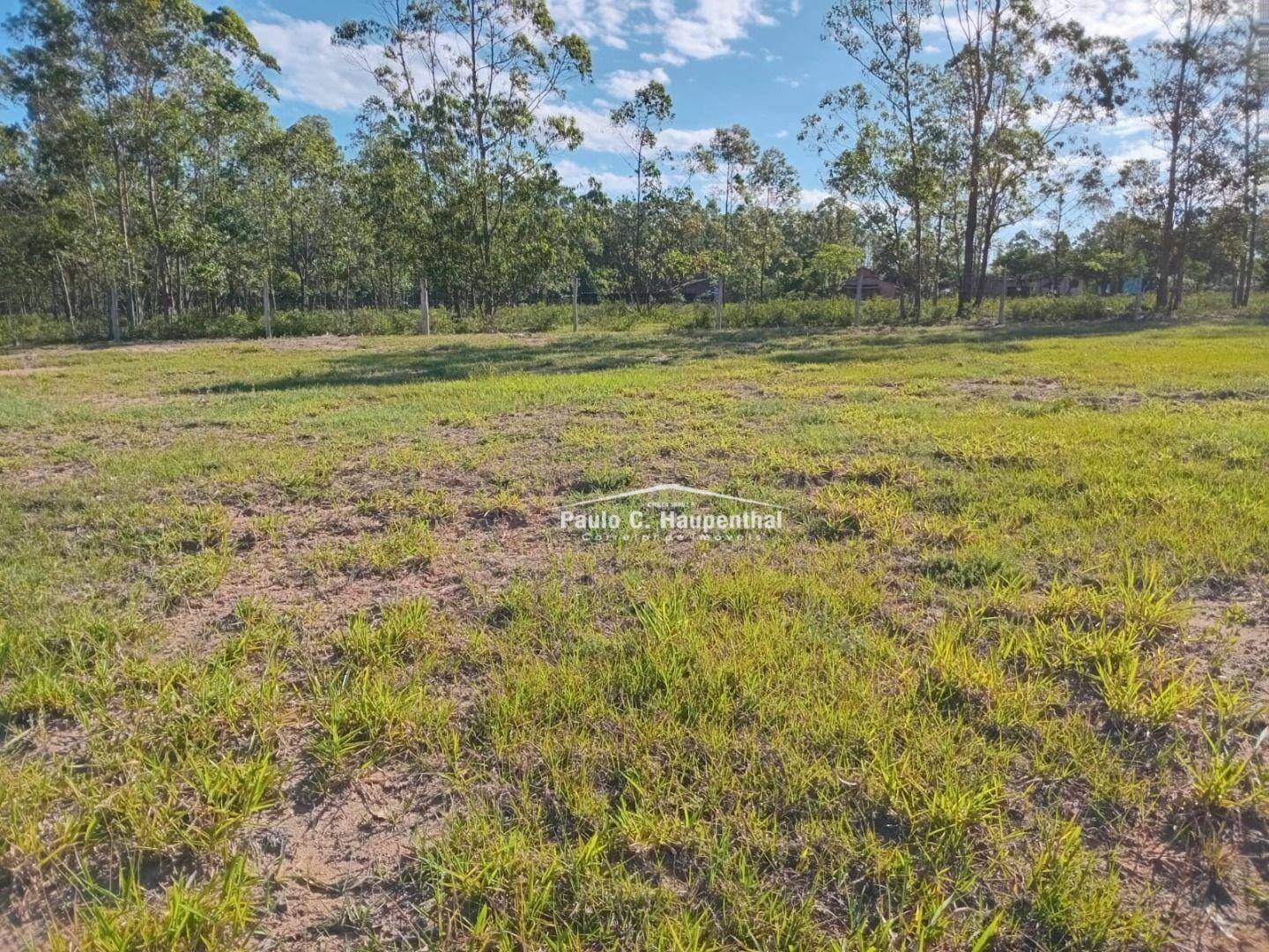 Terreno à venda, 300M2 - Foto 2