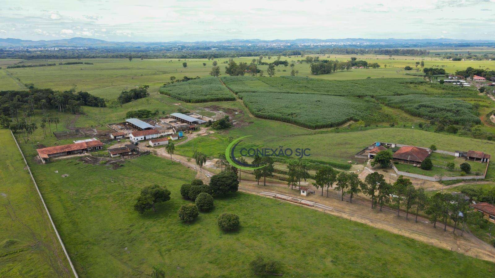 Fazenda à venda com 7 quartos, 968000M2 - Foto 12