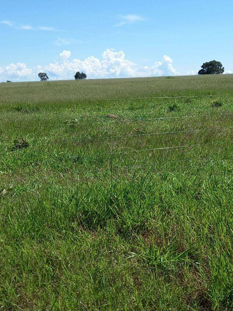 Fazenda à venda, 11610000M2 - Foto 13