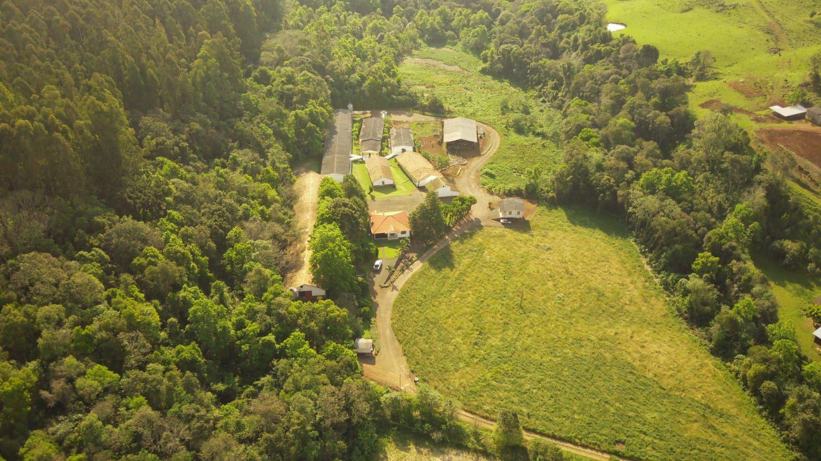 Fazenda à venda, 172000m² - Foto 6