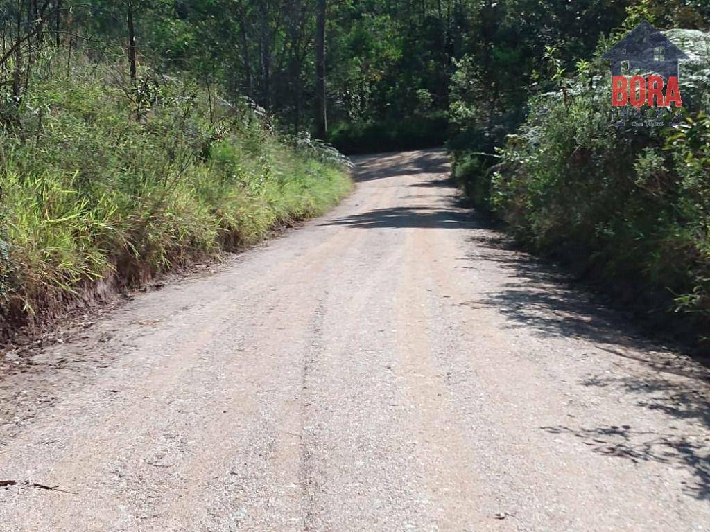 Terreno à venda, 1500M2 - Foto 8