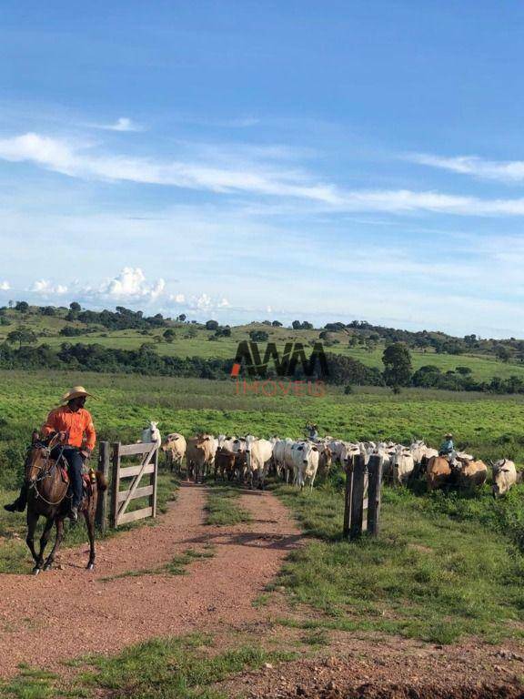 Fazenda à venda, 51691200M2 - Foto 2