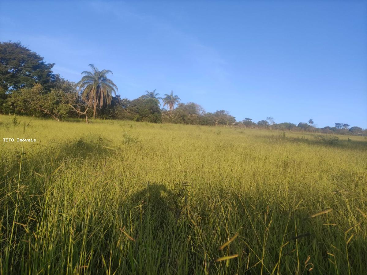 Terreno à venda, 2500m² - Foto 1