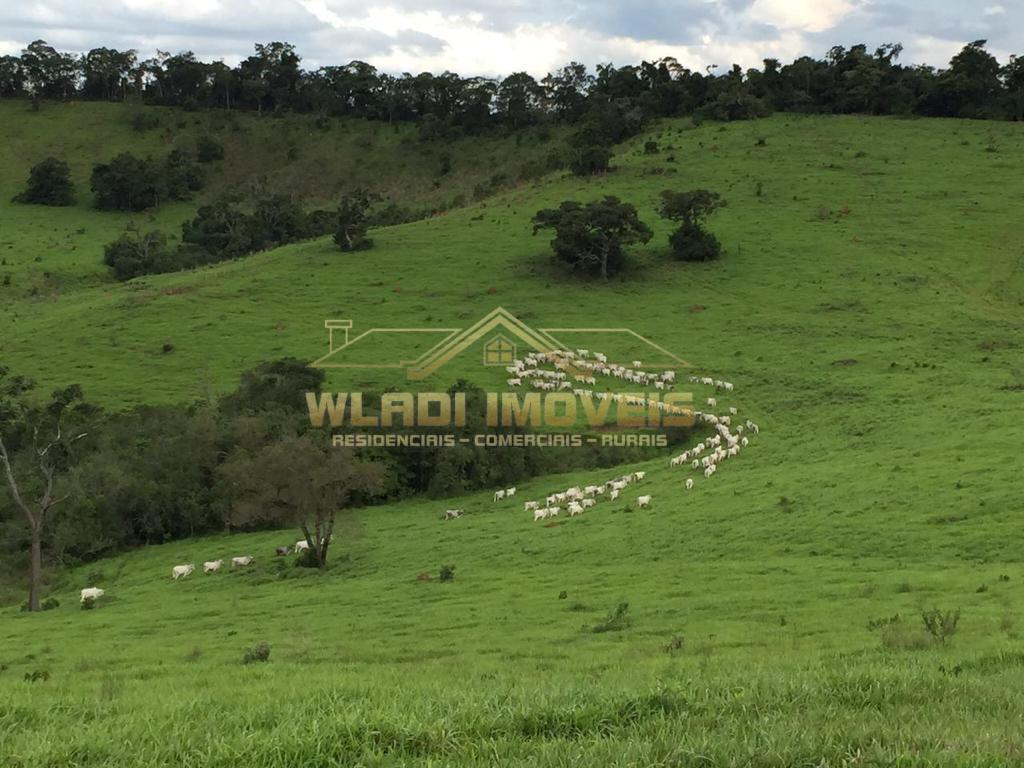 Fazenda à venda, 430m² - Foto 11