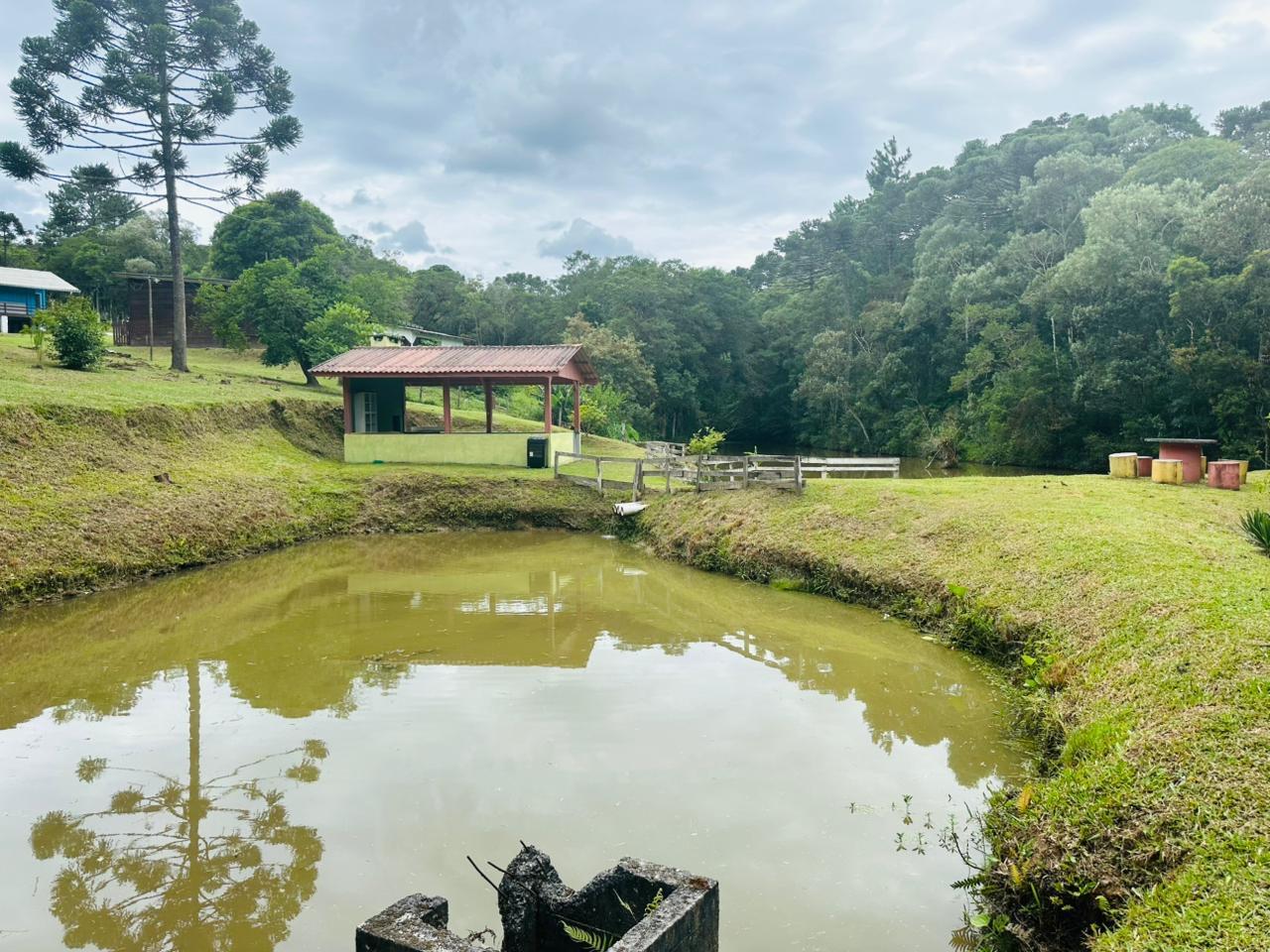 Fazenda à venda com 3 quartos, 8000m² - Foto 48