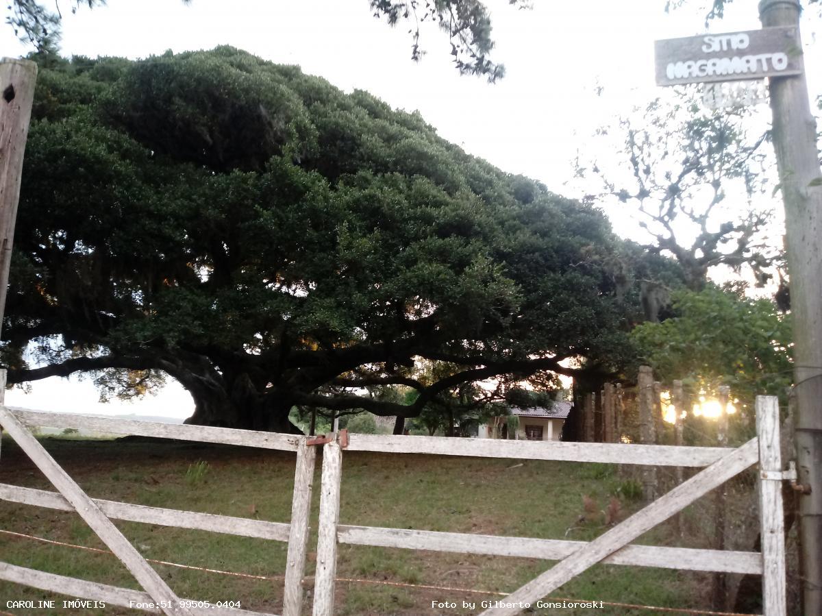 Chácara à venda, 160000m² - Foto 1