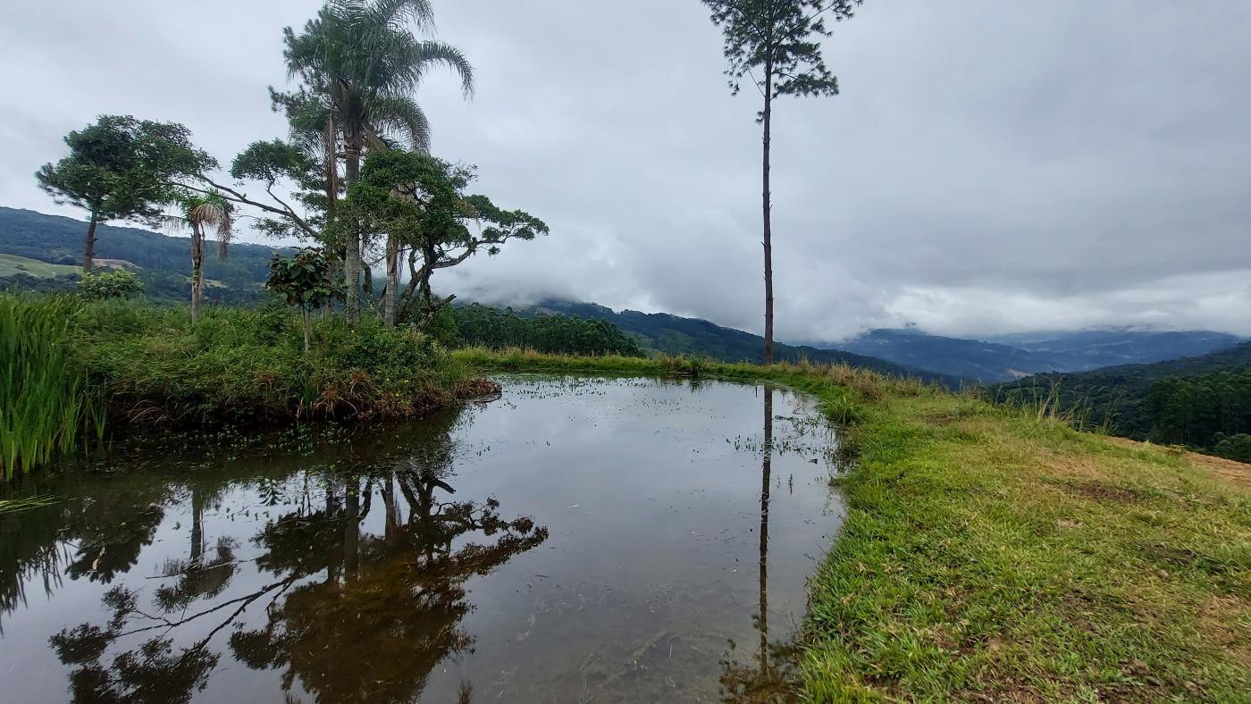 Fazenda à venda com 3 quartos, 260000m² - Foto 13