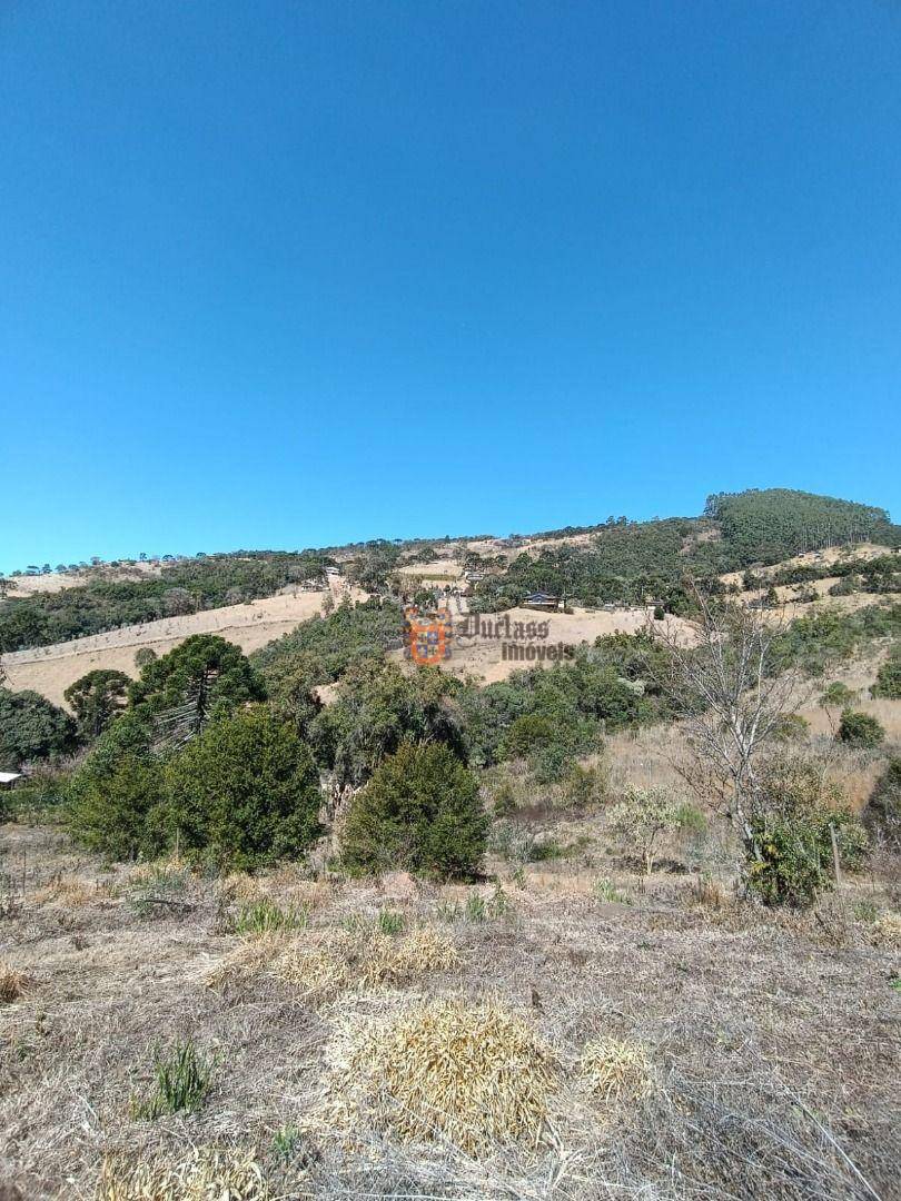 Terreno, 6 hectares - Foto 3