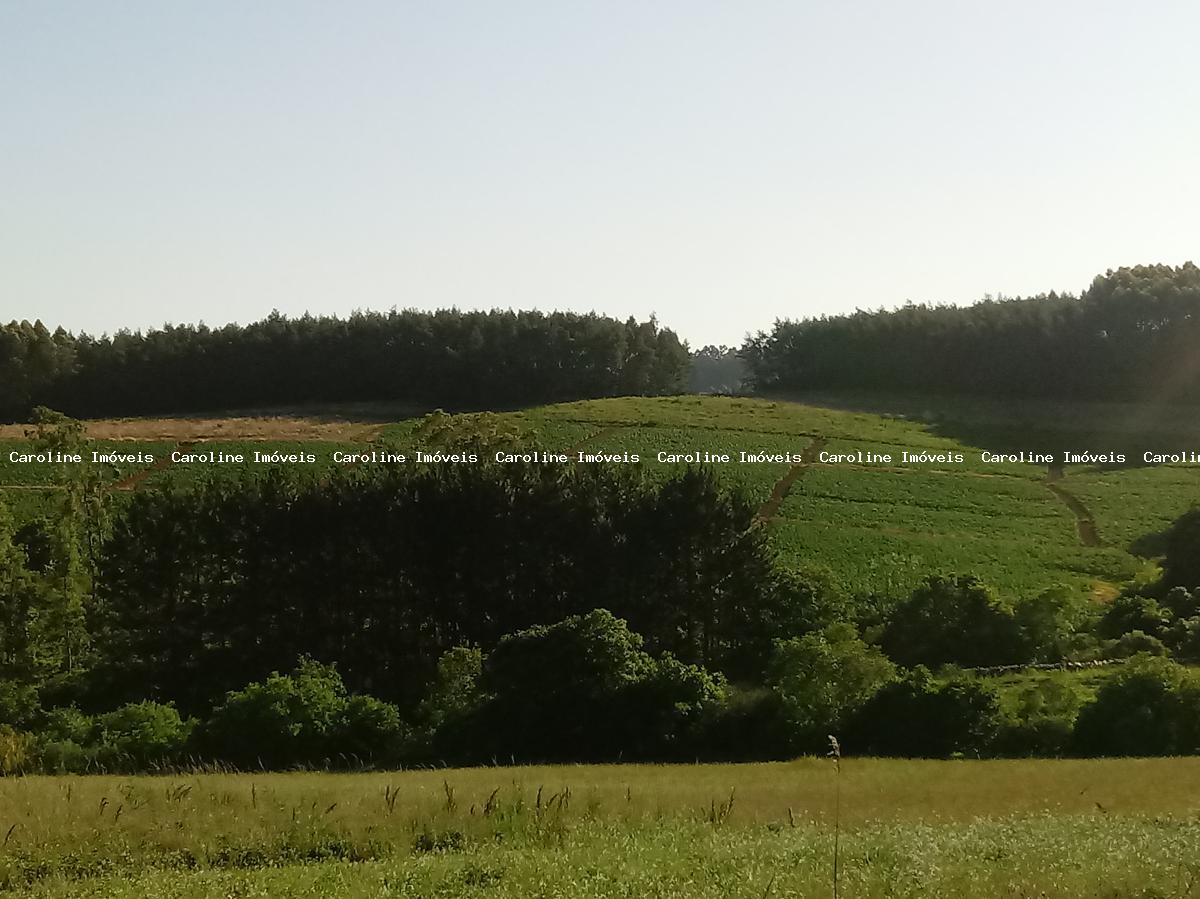 Fazenda à venda com 3 quartos, 60000m² - Foto 37