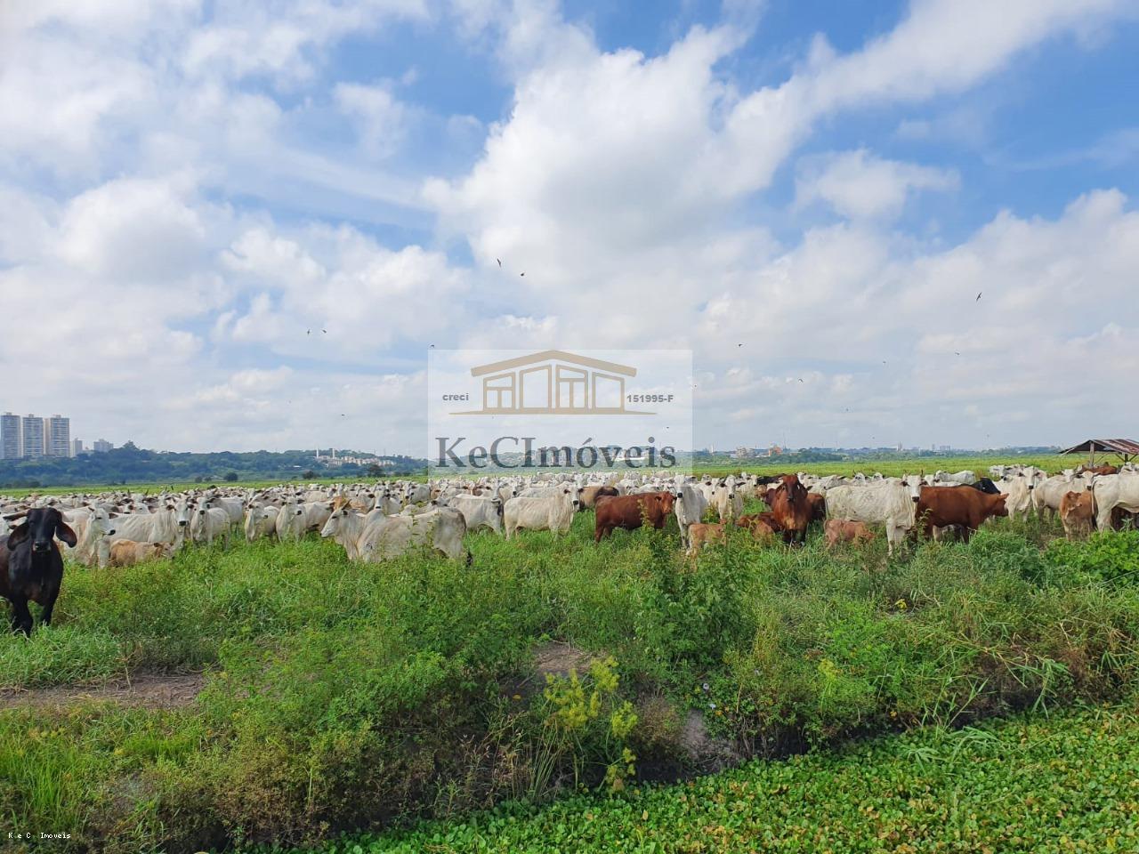 Fazenda à venda, 4235000m² - Foto 10