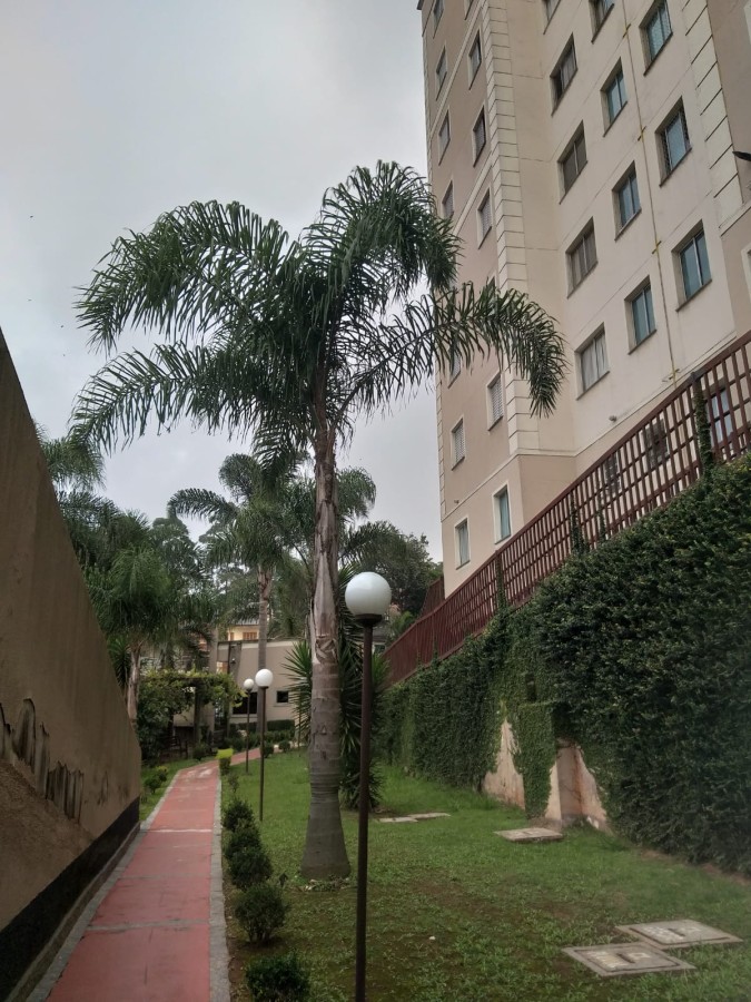 Apartamento à venda com 2 quartos, 47m² - Foto 34