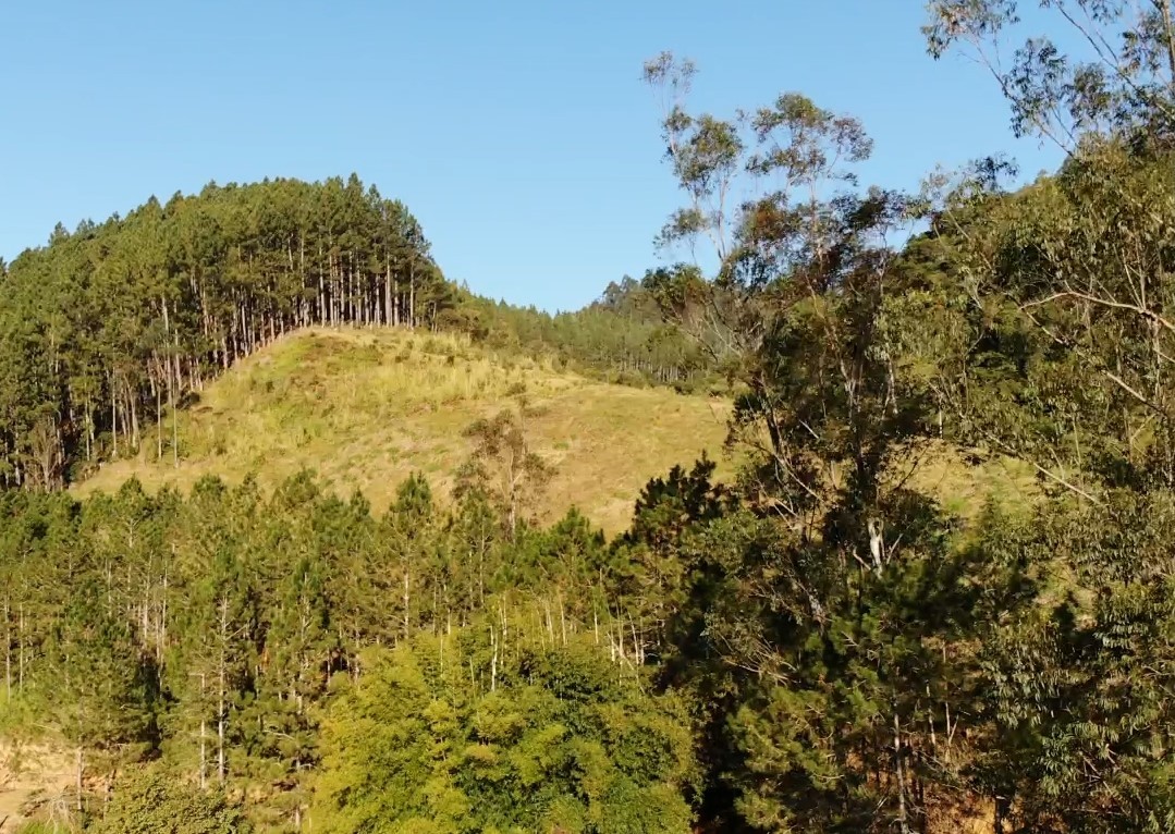 Sítio, 13 hectares - Foto 6