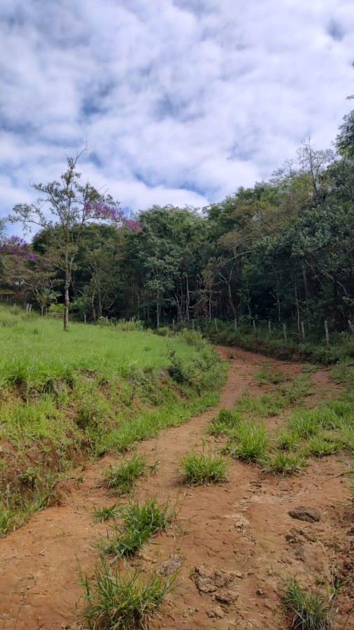 Terreno, 7 hectares - Foto 22