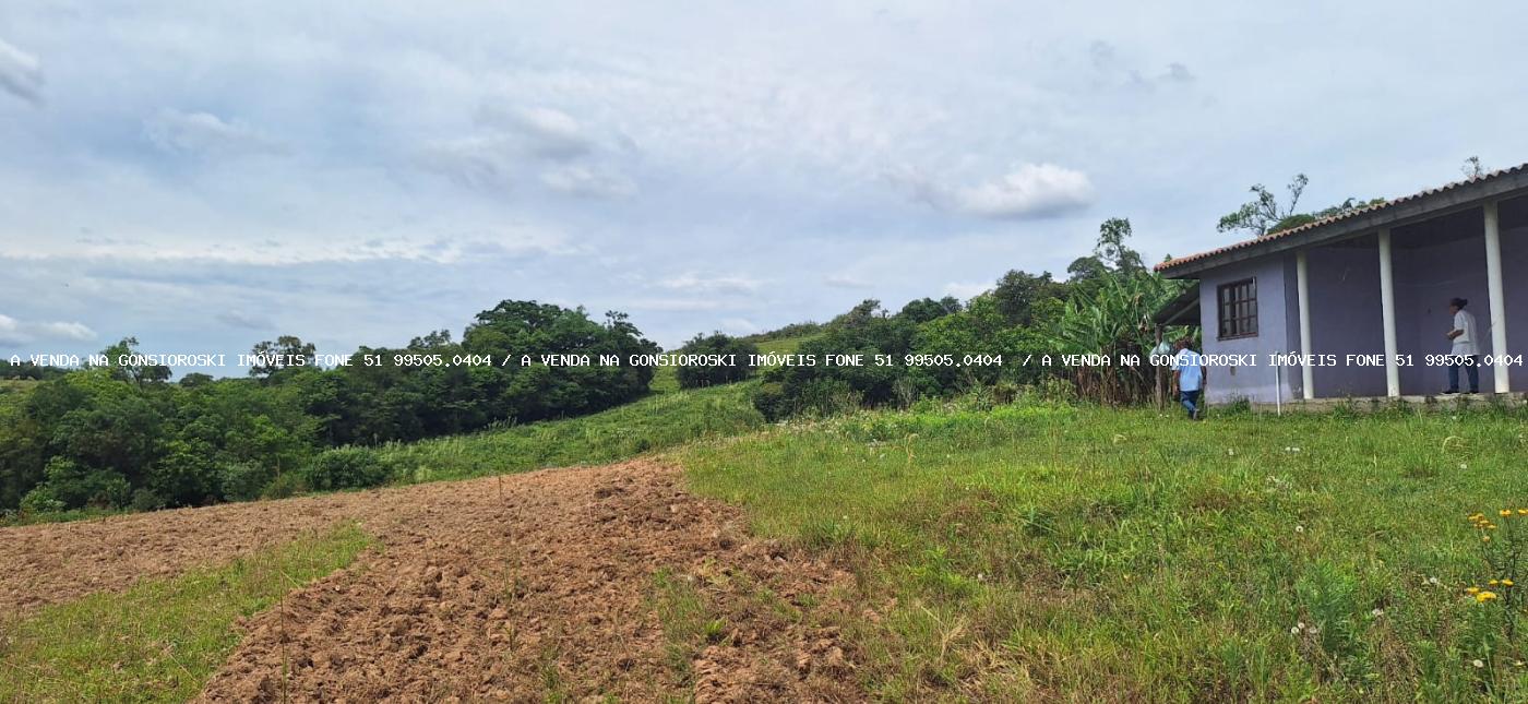 Fazenda à venda com 3 quartos, 2m² - Foto 7