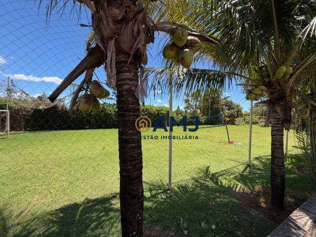 Chácara, 6 quartos, 2400 m² - Foto 3