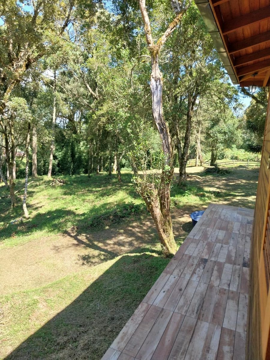 Chácara, 3 quartos, 3 hectares - Foto 4