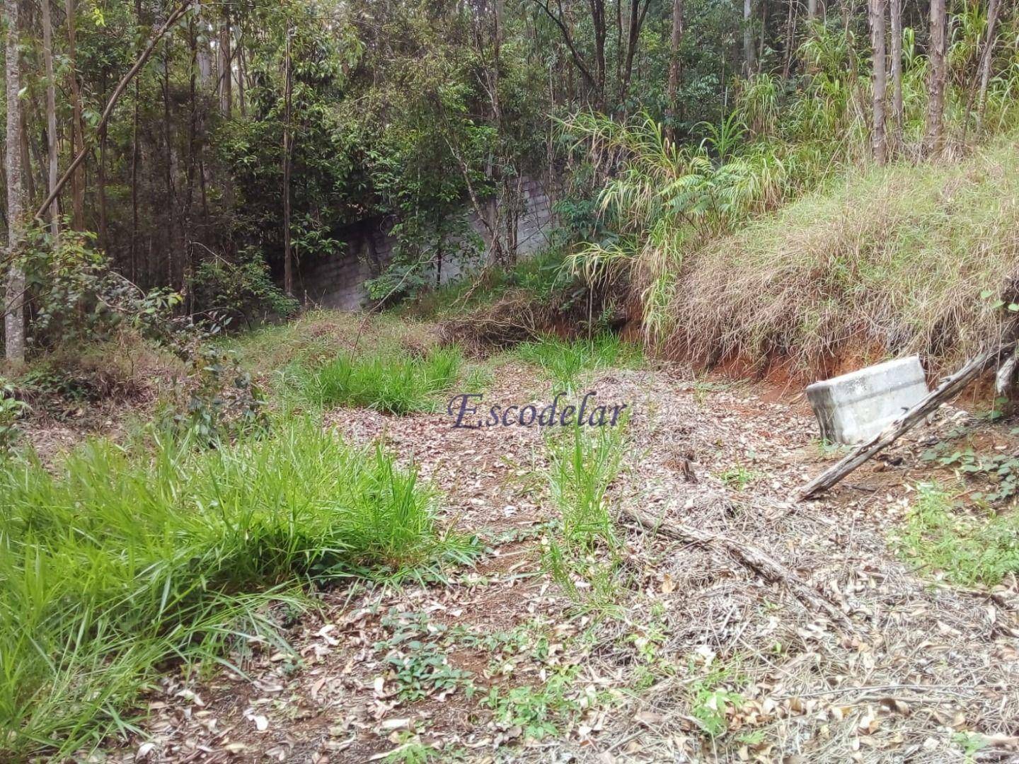 Terreno à venda, 7600M2 - Foto 4