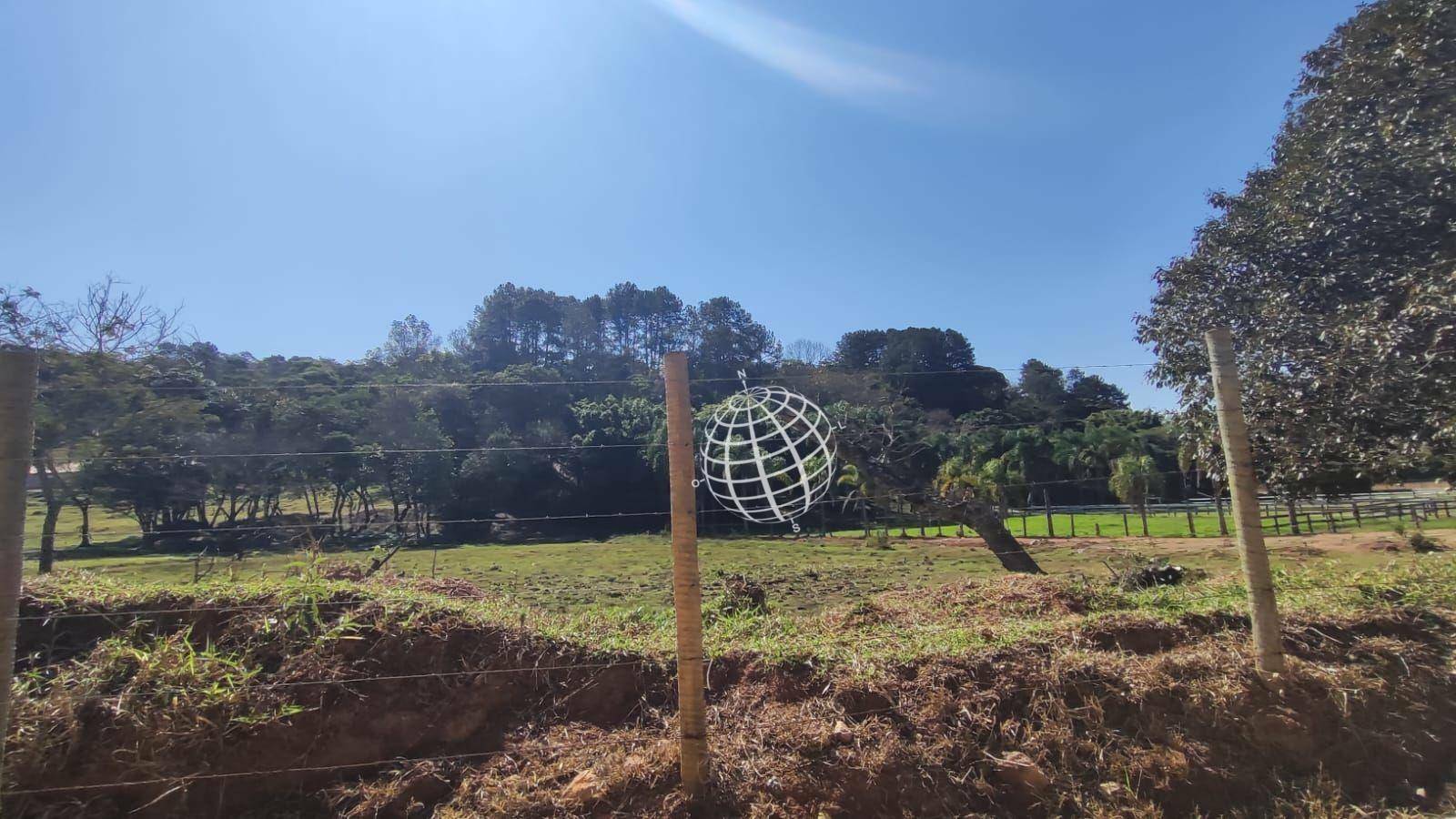 Terreno, 8 hectares - Foto 4