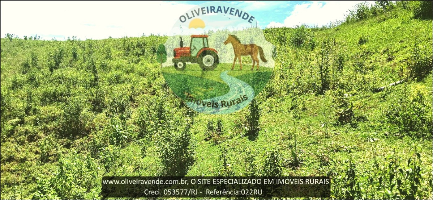 Fazenda à venda com 2 quartos, 24m² - Foto 10