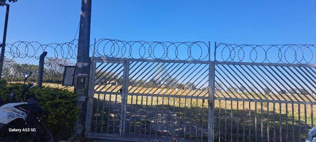 Terreno, 6 hectares - Foto 4