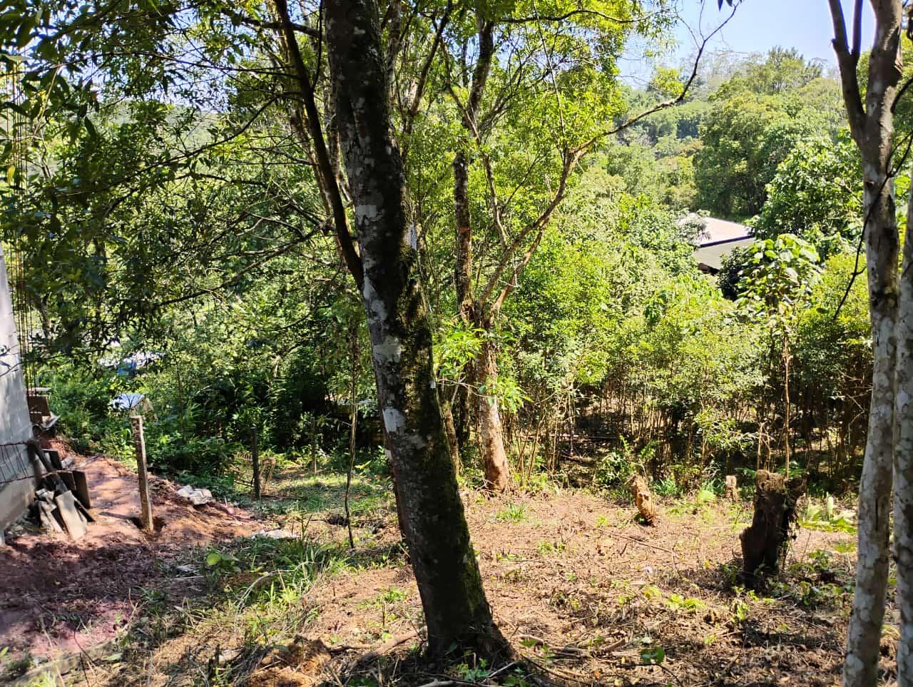 Terreno à venda, 3170m² - Foto 12