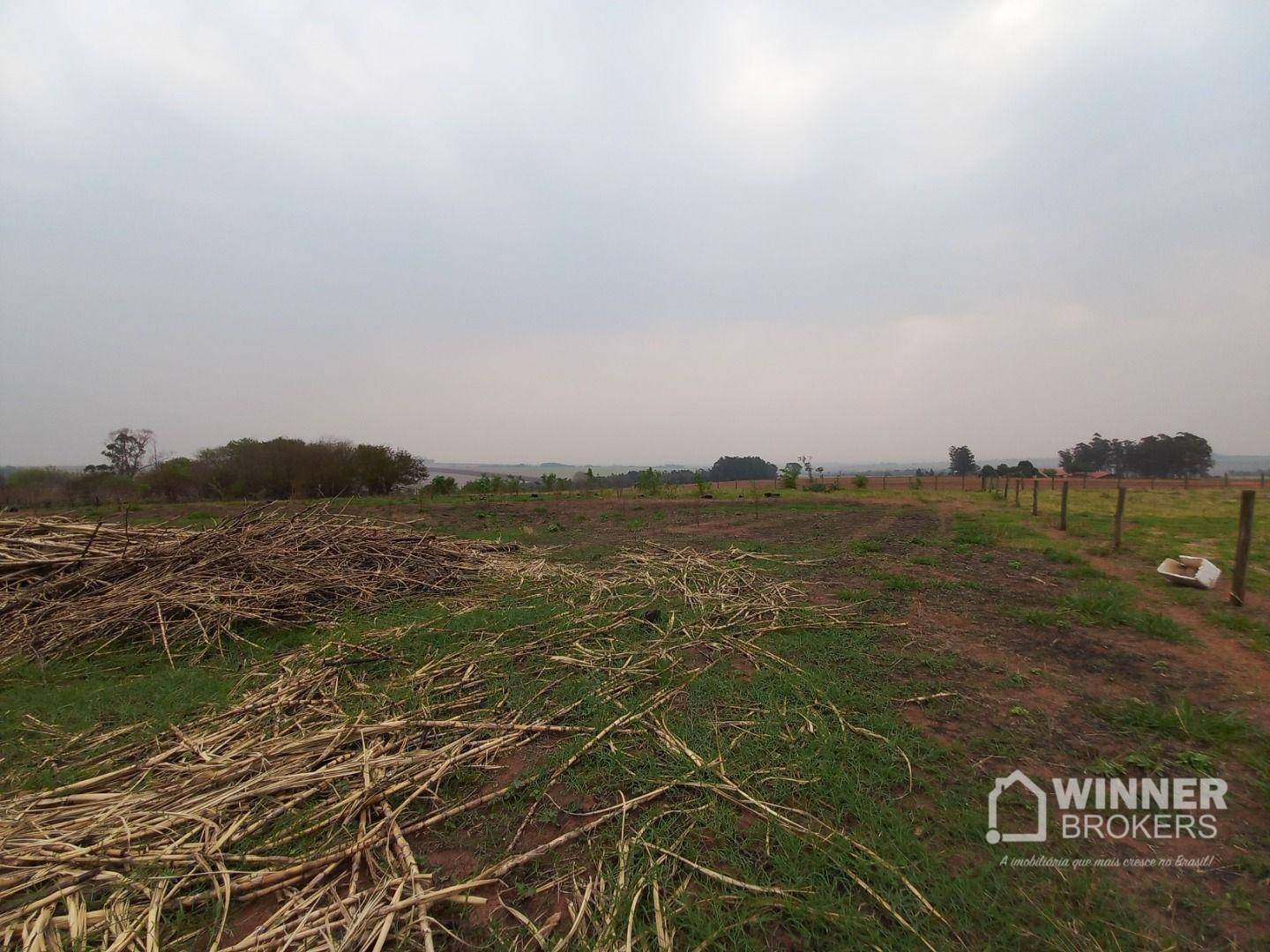 Chácara à venda com 3 quartos, 24200M2 - Foto 10