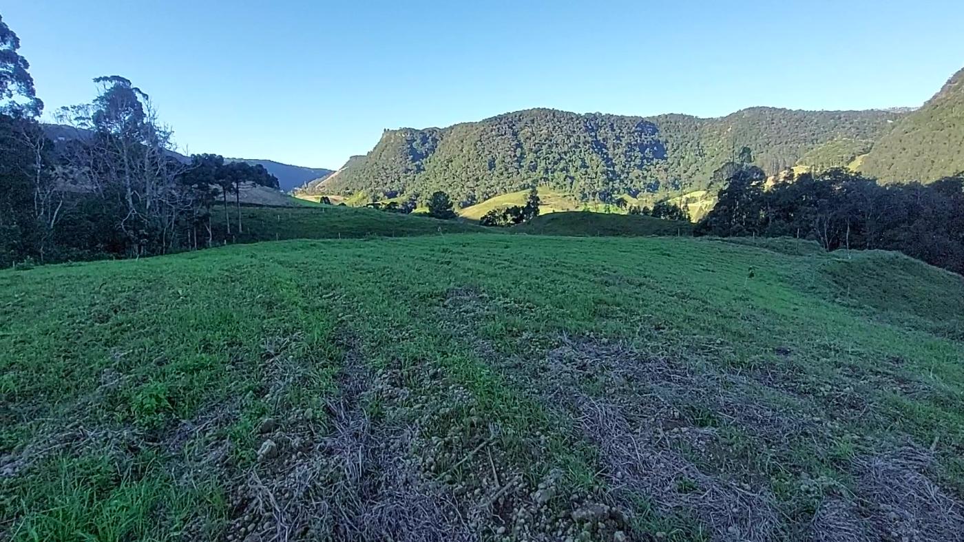 Sítio à venda, 50000m² - Foto 8