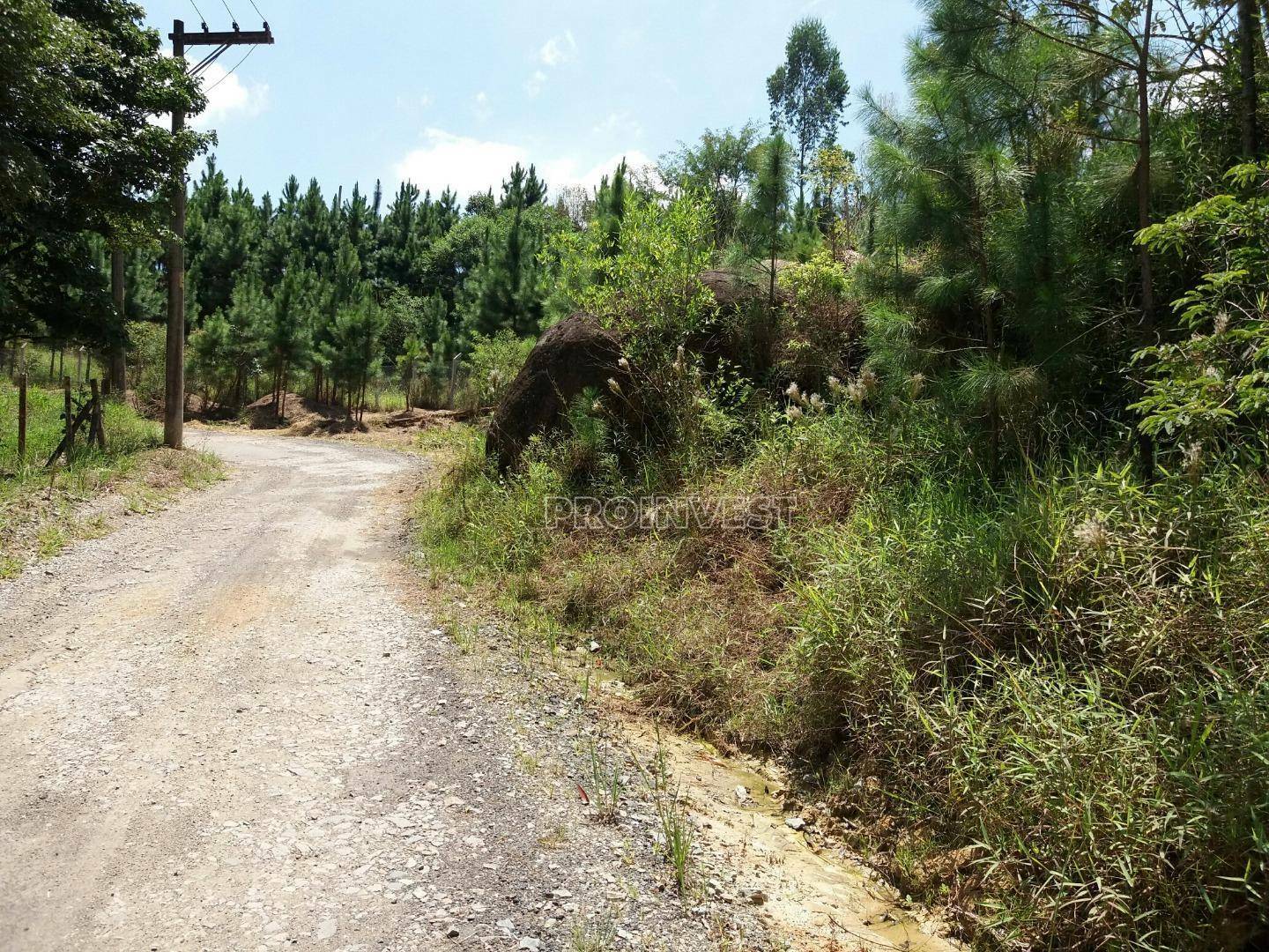 Terreno à venda, 15619M2 - Foto 6