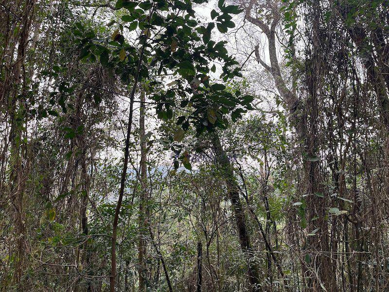 Loteamento e Condomínio à venda, 1120M2 - Foto 10