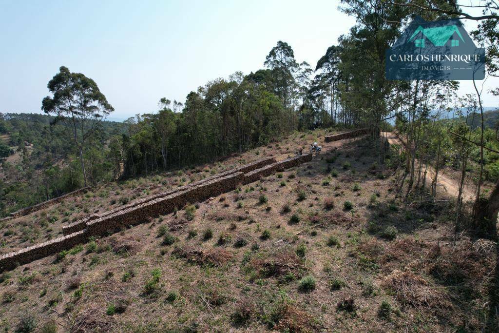 Terreno à venda, 32000M2 - Foto 2