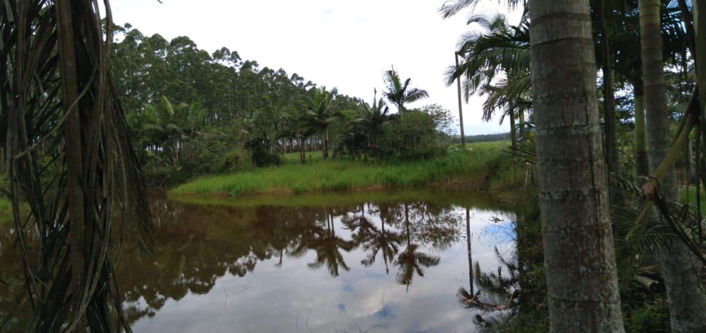 Fazenda à venda, 25000m² - Foto 11