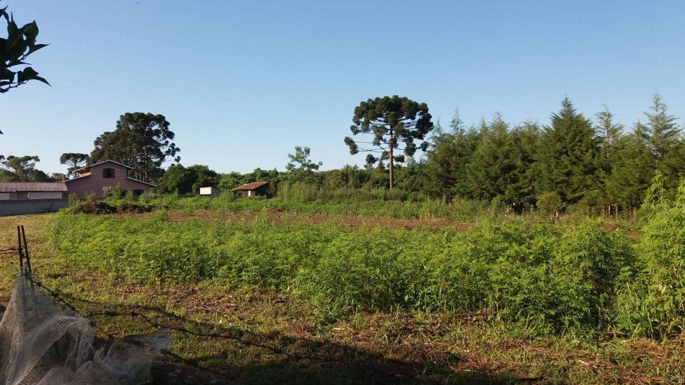 Chácara à venda, 18900m² - Foto 48
