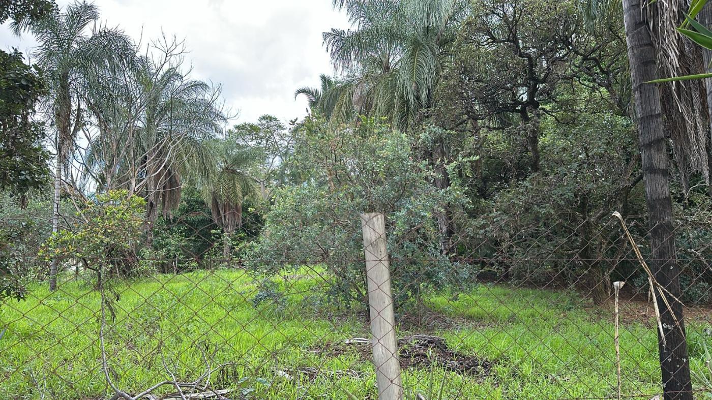 Fazenda à venda, 5000m² - Foto 2