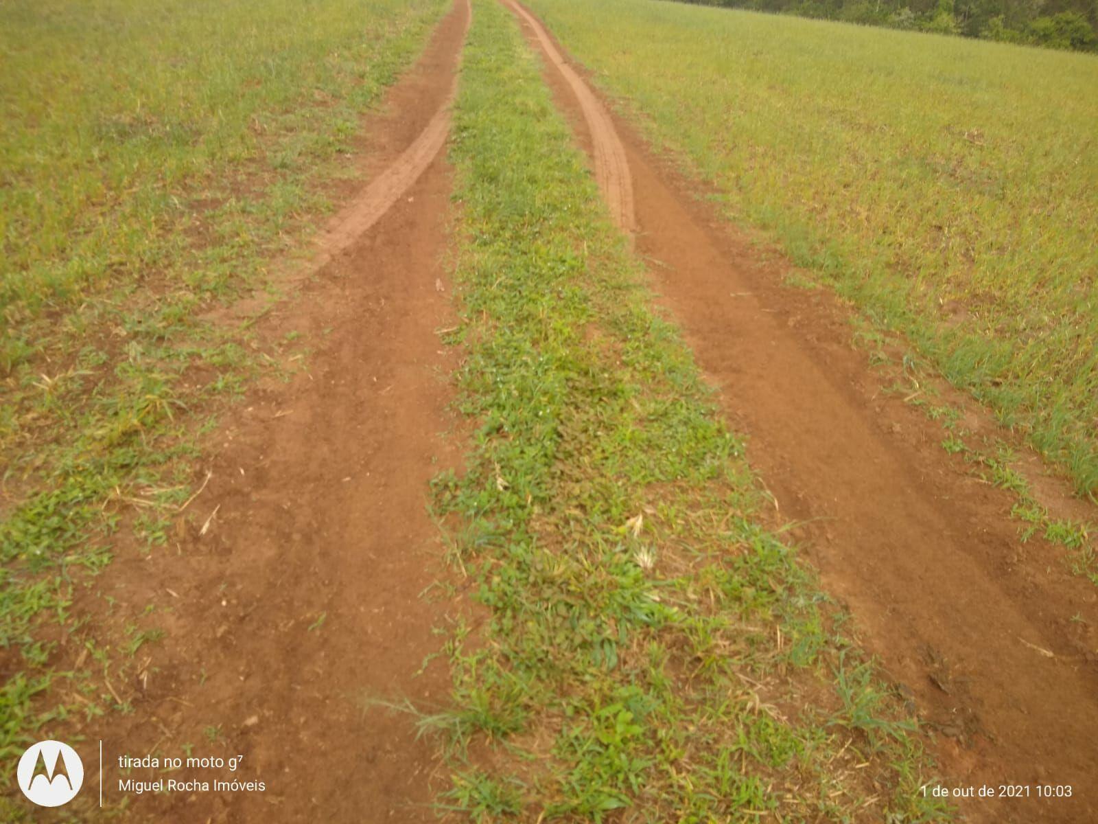 Fazenda à venda com 8 quartos, 3146000m² - Foto 7