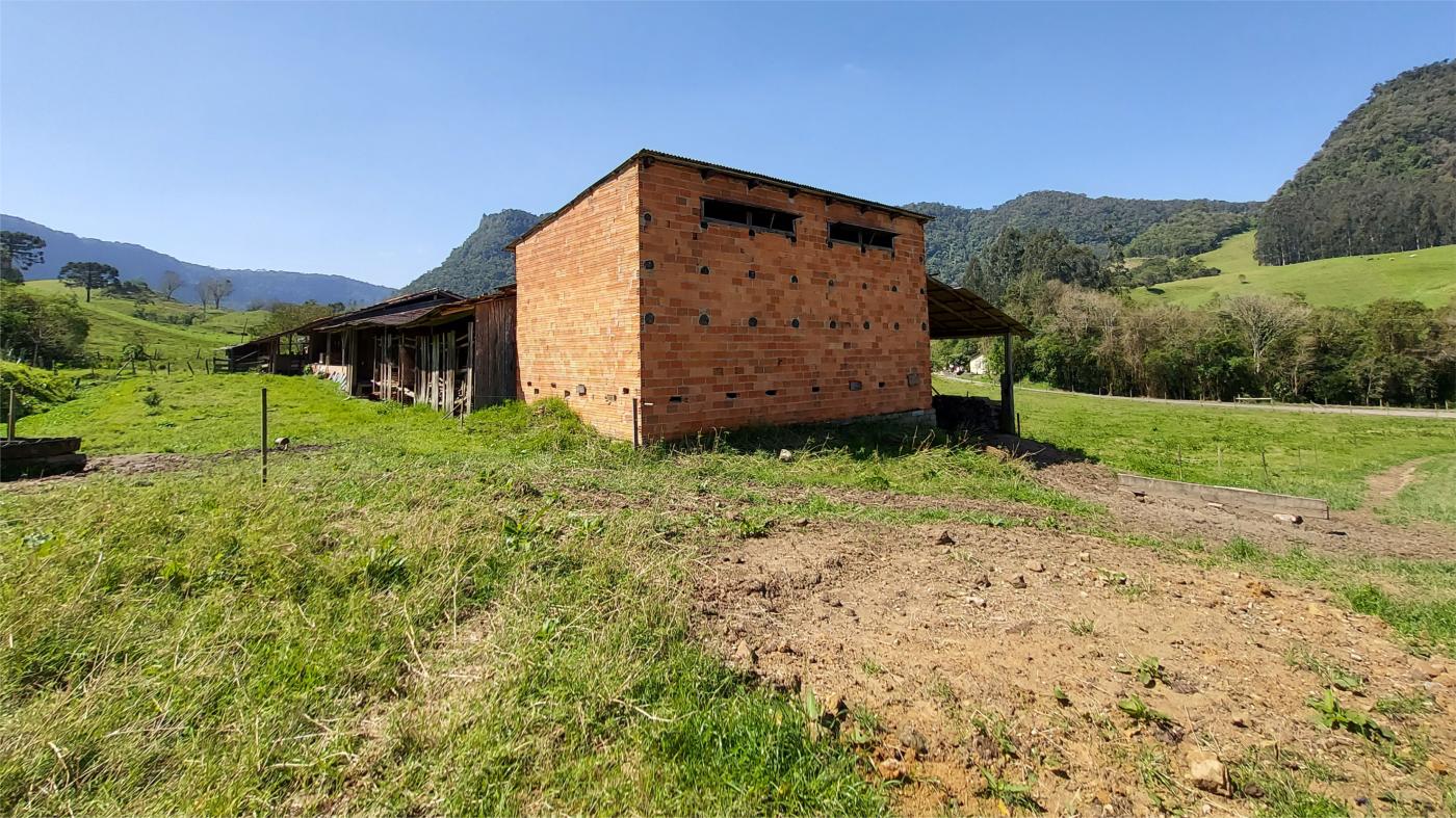 Fazenda à venda com 4 quartos, 101500m² - Foto 13