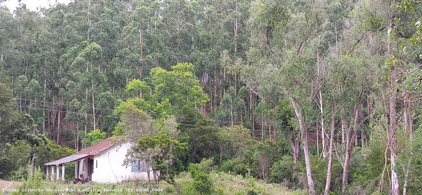 Loteamento e Condomínio à venda, 320000m² - Foto 8