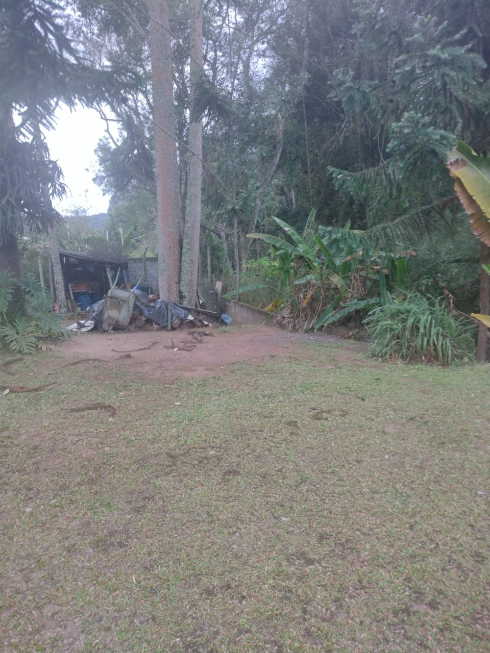 Chácara à venda com 4 quartos, 4500m² - Foto 3