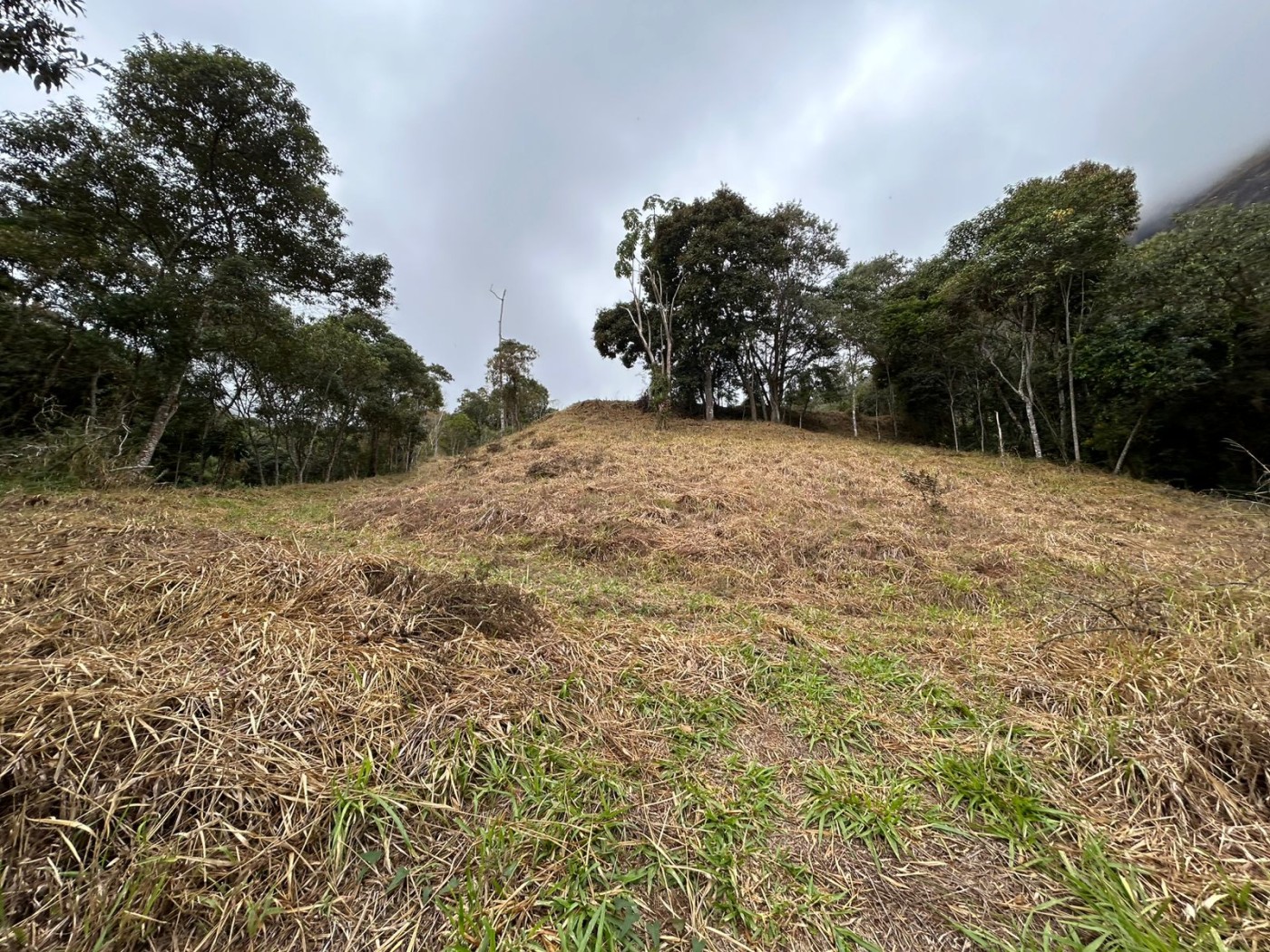 Terreno à venda, 178000m² - Foto 10