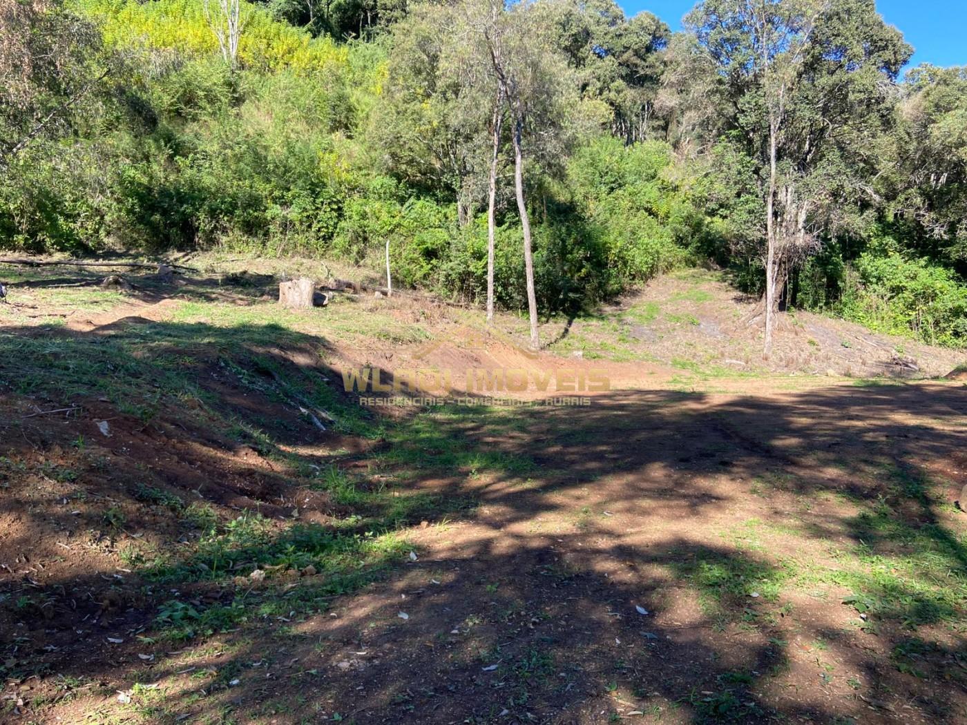 Terreno à venda, 40000m² - Foto 7