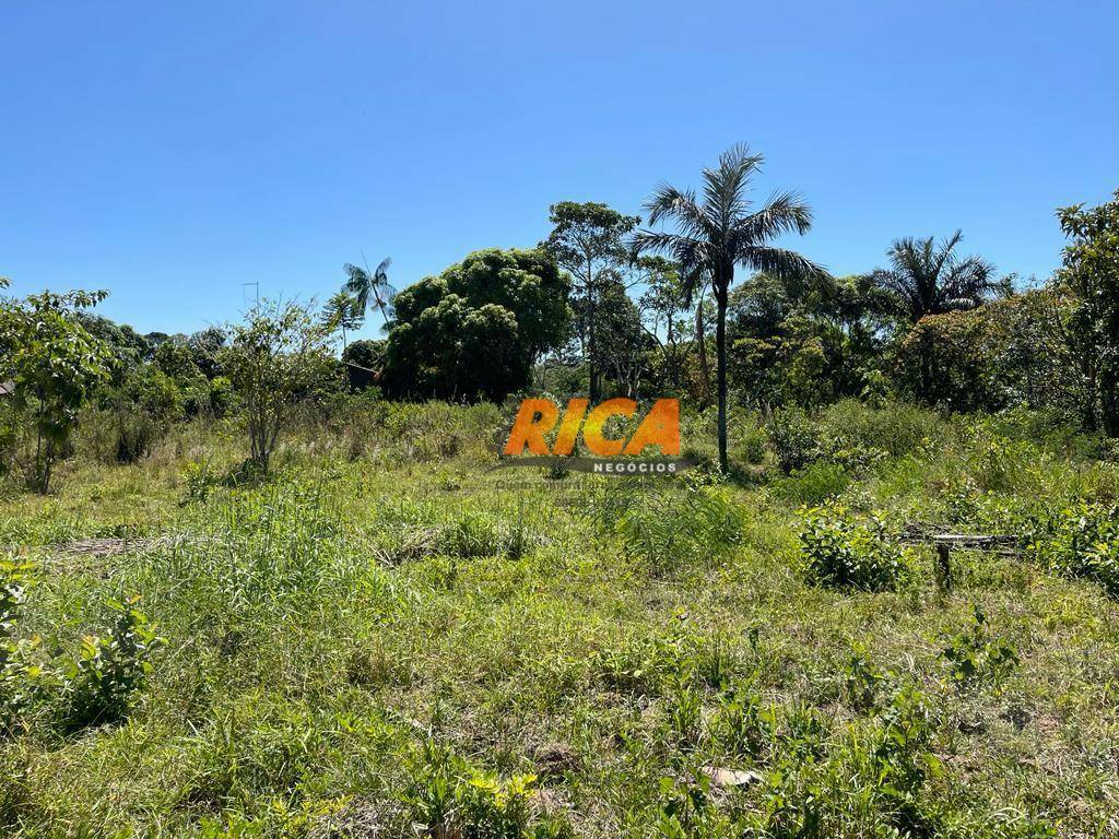 Chácara, 3 quartos, 2 hectares - Foto 6