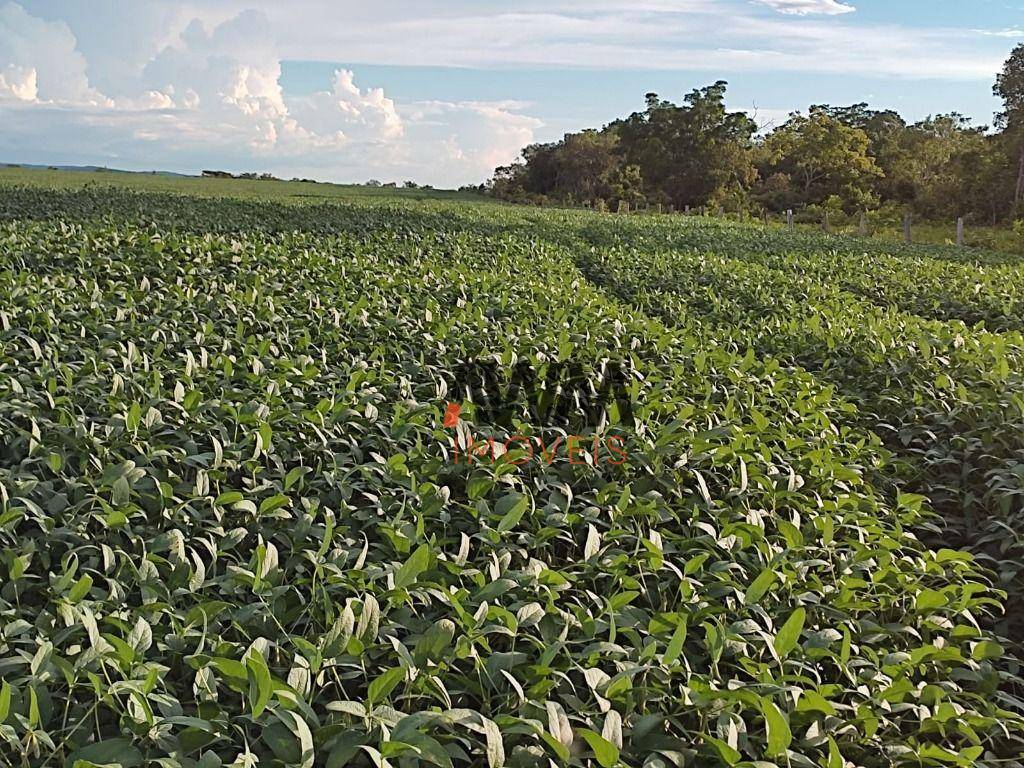 Fazenda à venda, 24829200M2 - Foto 10