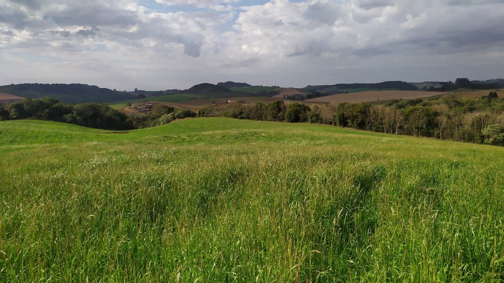 Fazenda à venda, 60m² - Foto 13