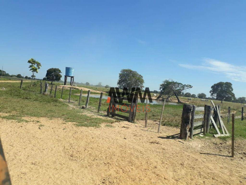 Fazenda à venda, 31060000M2 - Foto 24