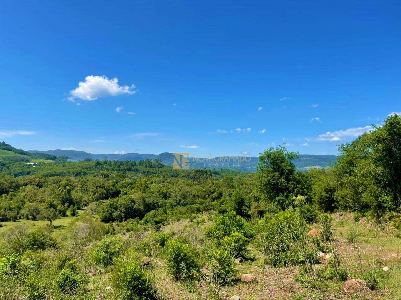 Sítio, 6 quartos, 45 hectares - Foto 12