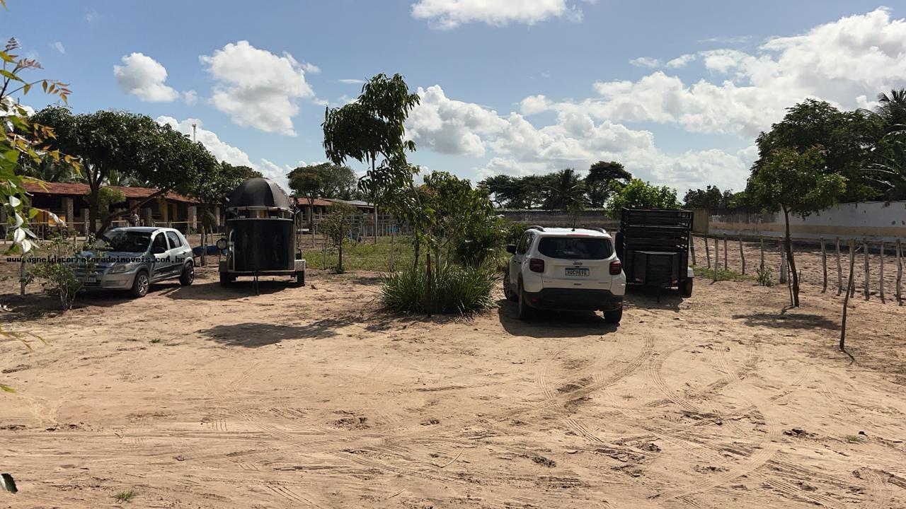 Fazenda à venda com 2 quartos, 6300m² - Foto 6