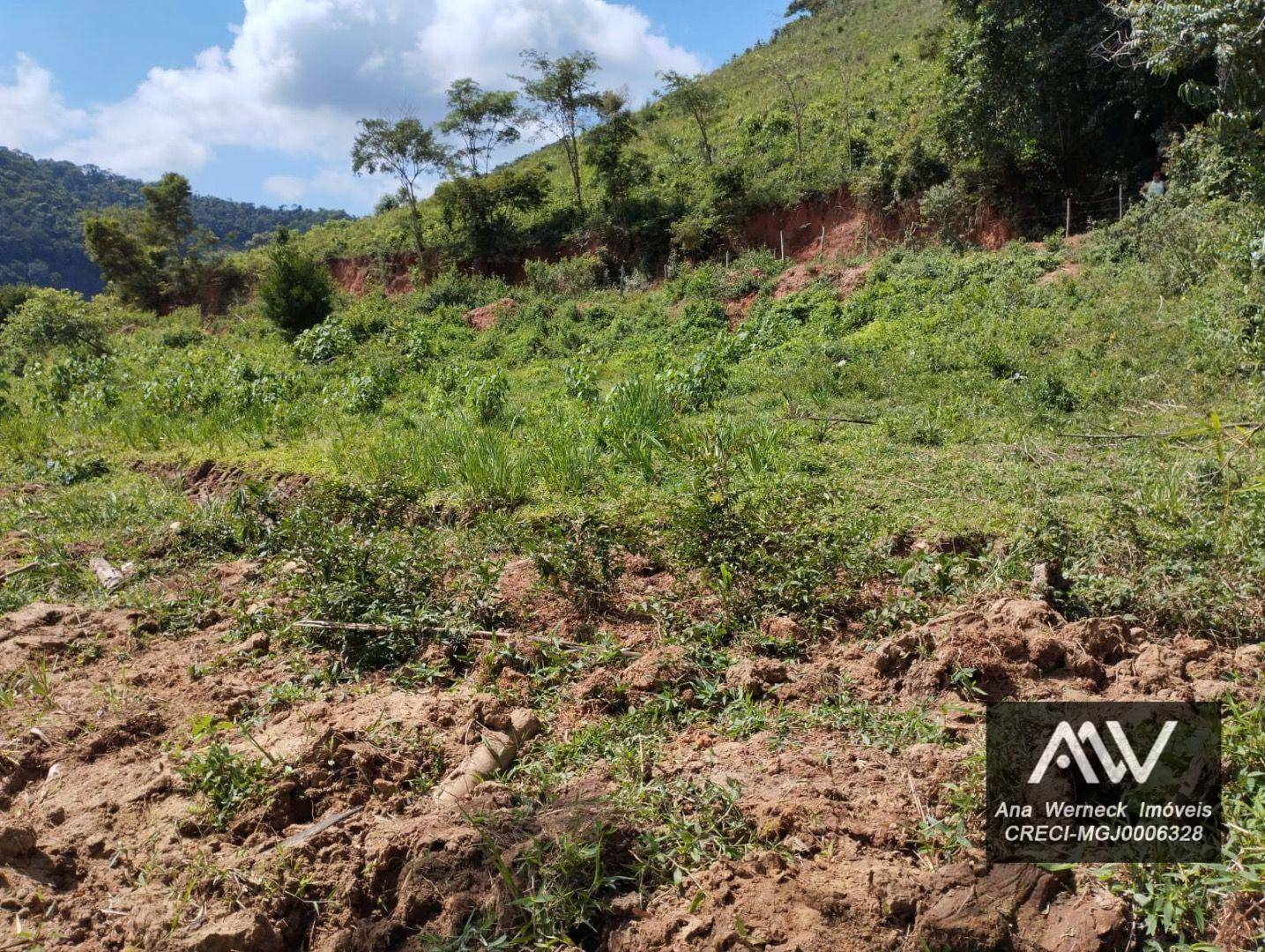 Terreno à venda, 2400M2 - Foto 11